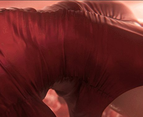 【神级3D/全动态】Nagoonimation：艾达王-触手巢穴 4K步兵版【动画/新作/1.6G】-I社中国-illusion中国-I社游戏-illusion中文汉化网